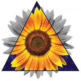 T-Shirt S to 2XL 3XL - triangle SUNFLOWER flowers garden spring fun adult Sunflower
