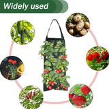 2Pack Hanging Plant Bags for Strawberries Tomatoes and Small Vegetable Gardens Garden Plants