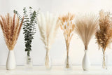 110 PCS Dried Pampas Grass Decor, Naturally Dried Pompas Bunny Tails Dried Fl... Pampas Grass