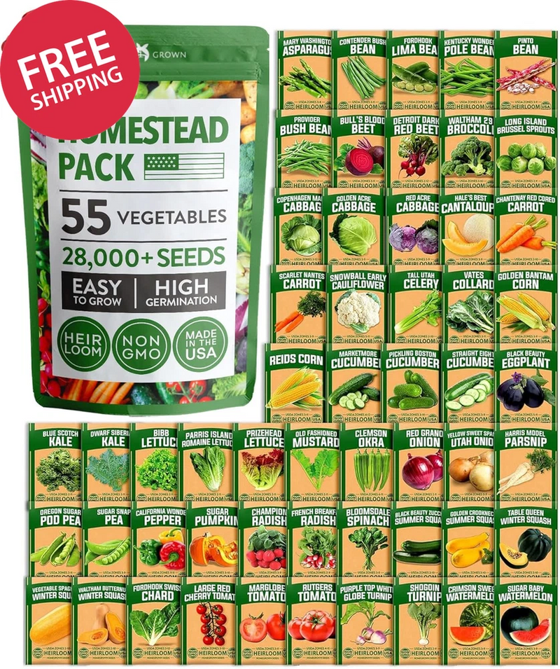55 Vegetable Seeds Pack 28000+ Non-GMO Heirloom Seeds for Planting Garden Kit Garden Plants