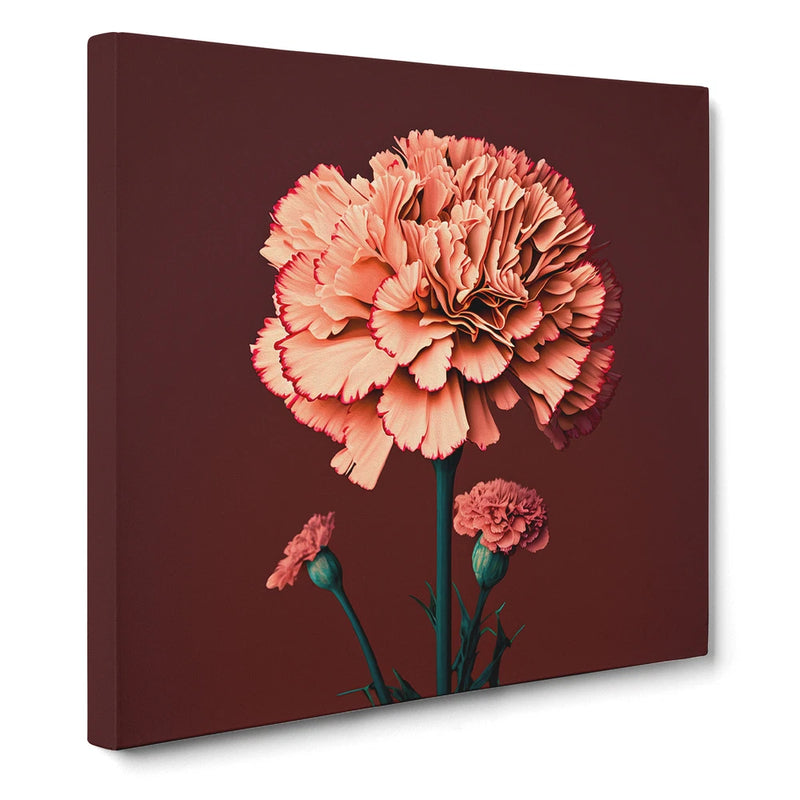 Framed canvas wall art print with large pink carnation flower and stem on dark background