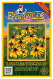 1 Oz Gloriosa Daisy Wildflower Seeds - Everwilde Farms Mylar Seed Packet Daisies