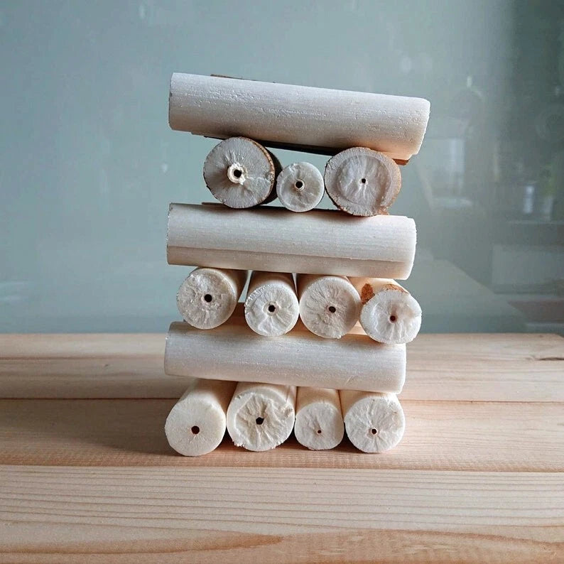 Natural sola wood sticks with circular cut ends, DIY crafting material