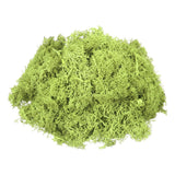 3oz Preserved Reindeer Moss, Bright Green Decorative Artificial Fake Moss Green Plant