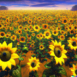 Huge Field of Sunflowers Sunflower Daytime Impressionistic Poster Print 24 x 24 Sunflower