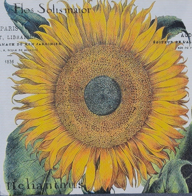 TWO Individual Napkins Sunflower Flowers Cocktail Decoupage (573) Sunflower