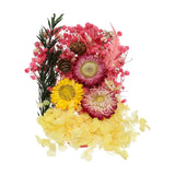 NaturalÊDriedÊFlowerÊSet,ÊDriedÊPressedÊFlowers (Yellow+Pink) Dried Flower