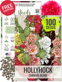 Mixed Carnival Hollyhock Seeds Heirloom Alcea Rosea Biennial Flower Garden Garden Plants