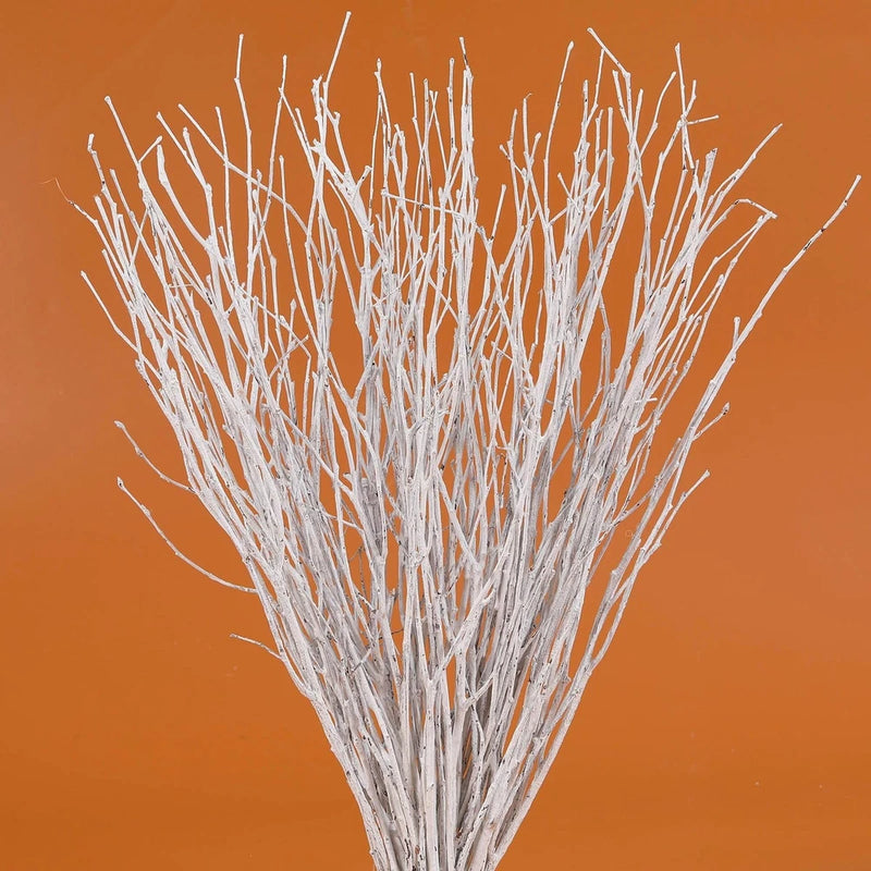 30 PCS White Dried Birch Twigs 17 Inch Branches For Vase Centerpiece Dried Flower