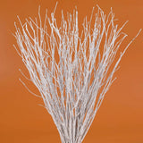 30 PCS White Dried Birch Twigs 17 Inch Branches For Vase Centerpiece Dried Flower