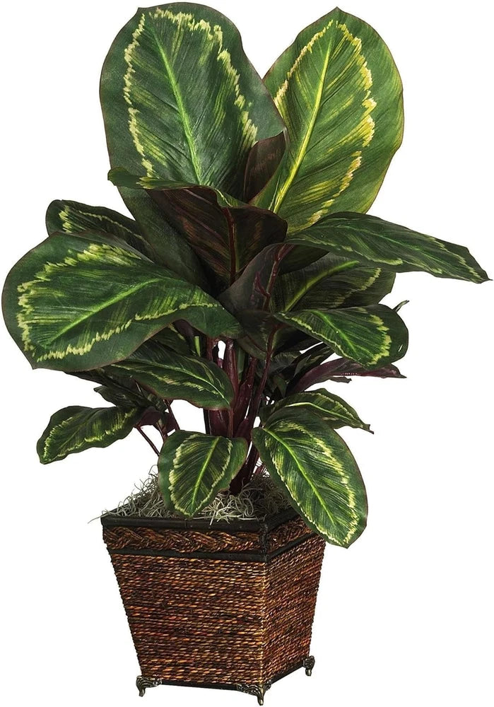 Lifelike Maranta Plant in Stylish Woven Basket - Perfect Home Decor Addition Green Plant