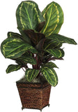 Lifelike Maranta Plant in Stylish Woven Basket - Perfect Home Decor Addition Green Plant