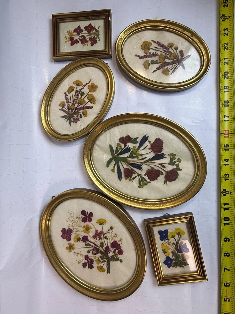 Vintage pressed flower wall art set with oval and small square gold frames, lot of 6