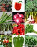 HERBS & SPICES MIX heirloom flavor garden non gmo assorted edible seed 150 seeds Garden Plants