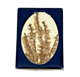Dried Pressed Flowers Framed 2" x 2.5" Made in Scotland Floral Dried Flower
