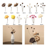 Dried Flower Bouquet for Vase Floral Arrangement Dried Plant for Birthday Dried Flower