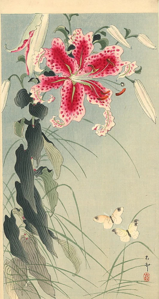 Ohara Koson Lily and Butterflies 1912 17"x 22" Archival Art Print Lily