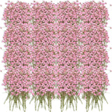100 PCS Dried Babys Breath Flowers Bulk Real Pressed Natural Gypsophila PK Dried Flower