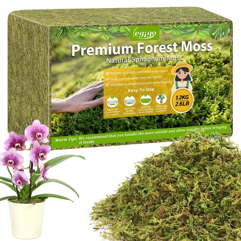 Premium forest moss bag for plants, green packaged spaghum moss with care label