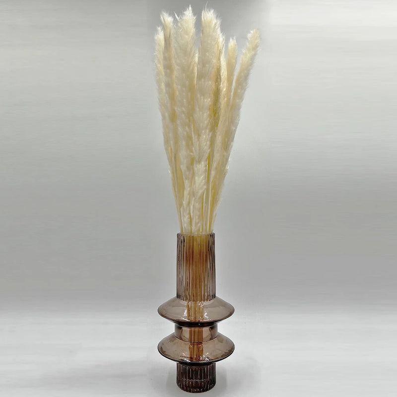 Bergamo Art Bundle of 4 Preserved Flowers Small Pampass Grass 20" long in White Pampas Grass