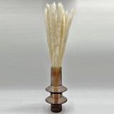 Bergamo Art Bundle of 4 Preserved Flowers Small Pampass Grass 20" long in White Pampas Grass