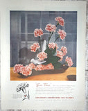 1954 Colorado Carnations Vintage Print Ad Flower Growers Gift Men Women Beauty Carnation