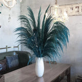 Pampas Grass Decor Tall,Long Pampas, Large Pompas Floral, Elegant Feather Flower Pampas Grass