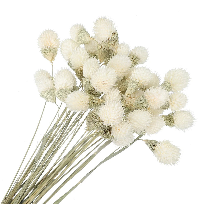 30 Pcs 16 Inch Dried Flowers for Vase Mini Pine Ball Flowers White Dried Flower
