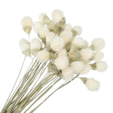30 Pcs 16 Inch Dried Flowers for Vase Mini Pine Ball Flowers White Dried Flower