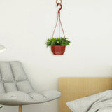 15 Sets Indoor Hanging Plastic Flower Pot Orchid Pots for Garden Garden Plants