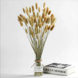 Natural Dried Bunny Tail Grass - 110~120 Stems Lagurus Ovatus for Boho Decor,... Pampas Grass