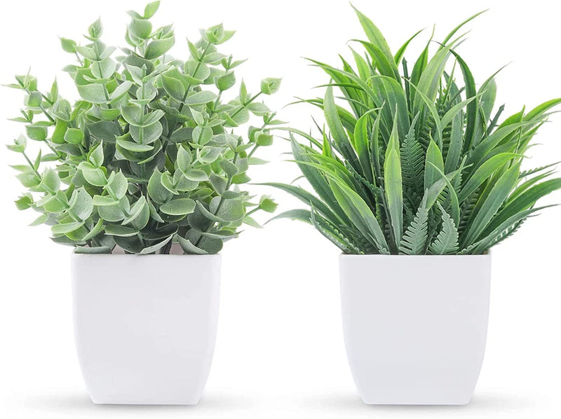 2-pack artificial mini plants in white square pots: succulent and spiky grass leaves