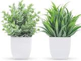 2 Pack Small Fake Plants Mini Artificial Potted Plants for Table Desk Home Laund Roses
