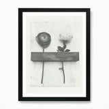 Ranunculus Flower Photo Collage 4 A Framed Wall Art Poster Canvas Print Picture Ranunculus