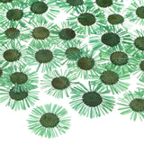 60-Pack Dried Pressed Flowers for Resin, Real Natural Dry Floral [Green] Dried Flower