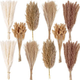 220 PCS Dried Flower Bouquet Ð Pampas Grass, Floral Decor for Home, Weddin Pampas Grass