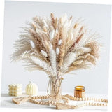 130PCS Natural Dried Pampas Grass Boho Home Decor Bouquet Phragmites 130 Pcs Pampas Grass