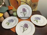 Muirfield Golden Leaf Floral 8.5Ó Lunch Salad Plates Set of 4~Iris/hydrangeas Hydrangea