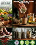 36 Heirloom Medicinal Herb Seeds for Tea Garden Planting Garden Plants