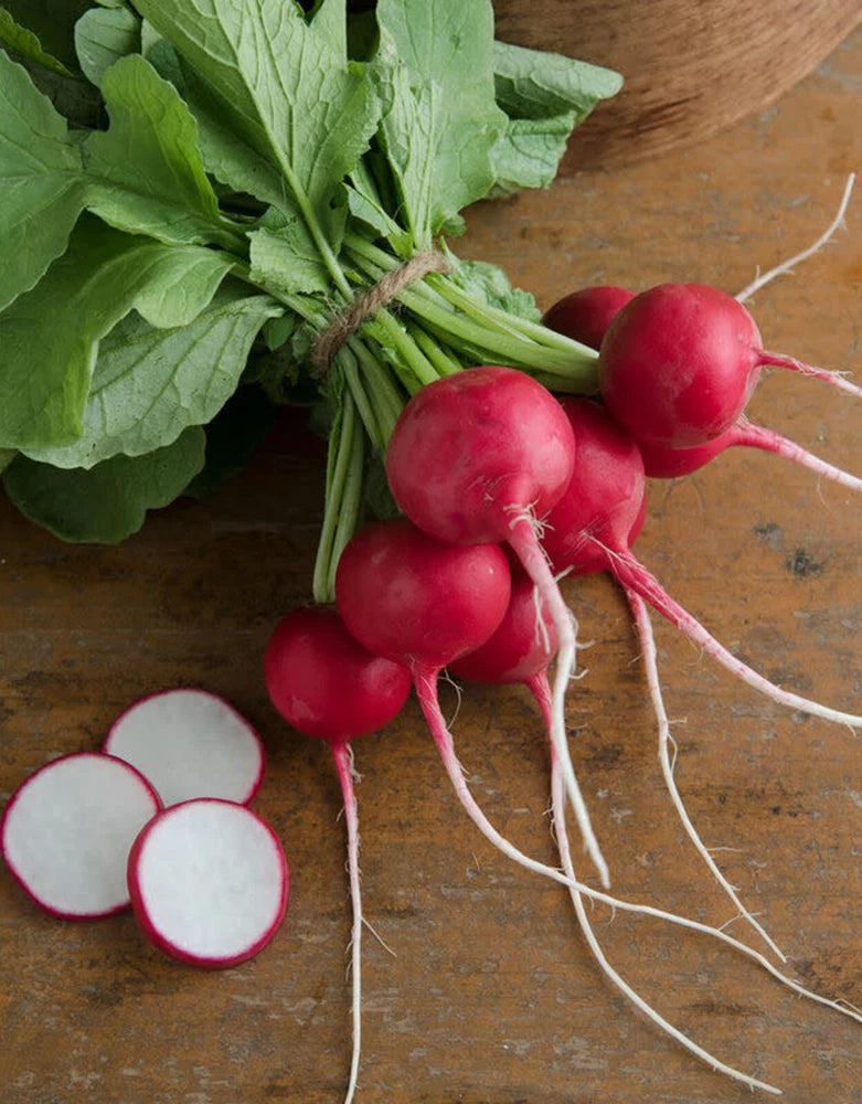 700+ CHERRY BELLE RADISH SEEDS.  FRESH HARVEST FOR GARDENS Garden Plants