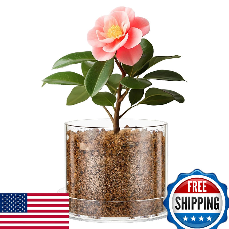 Clear acrylic orchid pot with drainage and tray, shown with pink flower plant