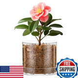 Sunnychicc Clear Acrylic Orchid Pot w/ Drainage & Tray 5x6in Orchids