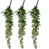3 Pack Artificial Plant Succulent Plants Hanging String Pearls Green&13.7 in Green Plant
