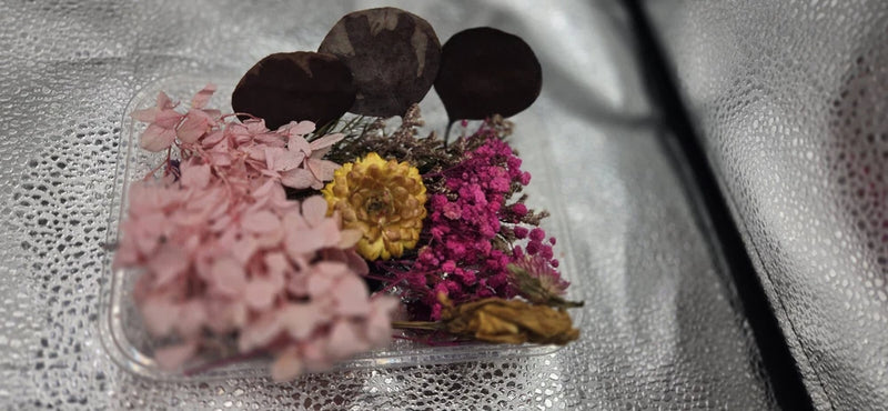 Dried Small Flowers Resin Jewelry Crafts X 2 Dried Flower