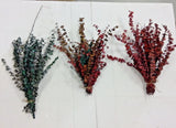Dried Eucalyptus floral Branches Leaves bunch bouquet crafts red green Dried Flower