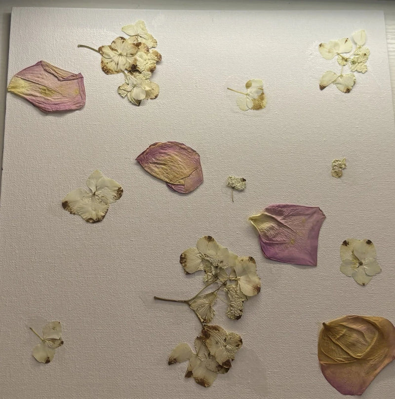 Handmade Pressed Flower Canvas Art - Real Rose & Hydrangea petals Floral Decor Hydrangea