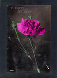 X2427 Greetings Birthday Carnation Flowers Popular vintage postcard Carnation