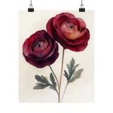 Boho Burgundy Ranunculus Flower Art Print Poster, Minimalist Floral Wall Art 6 Ranunculus