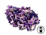 ARK Splatter Purple Dry Reef Rock Aragonite, Aquariums Live Anemone
