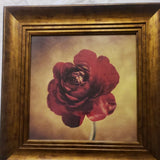 Framed, Crimson Ranunculus, Large Open Rose Quality Picture 11